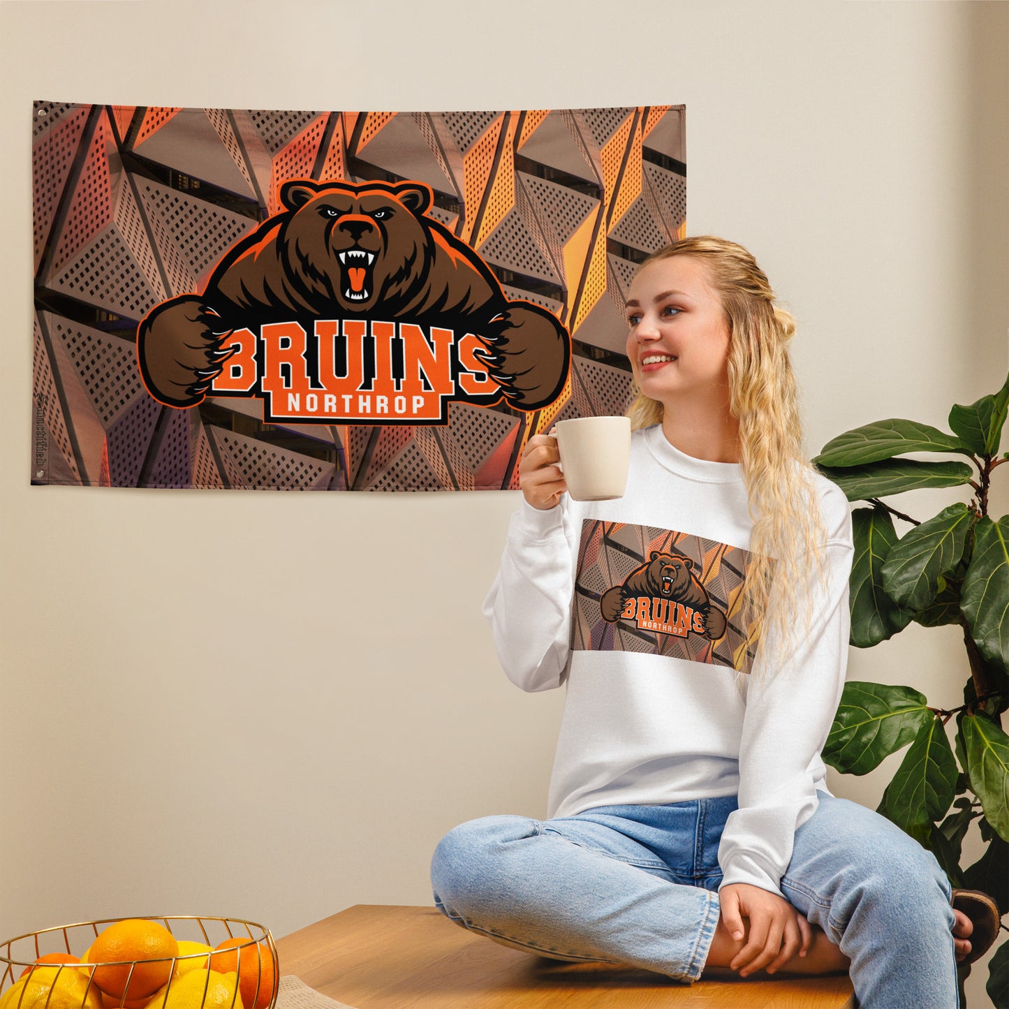 Northrop H.S. Flag