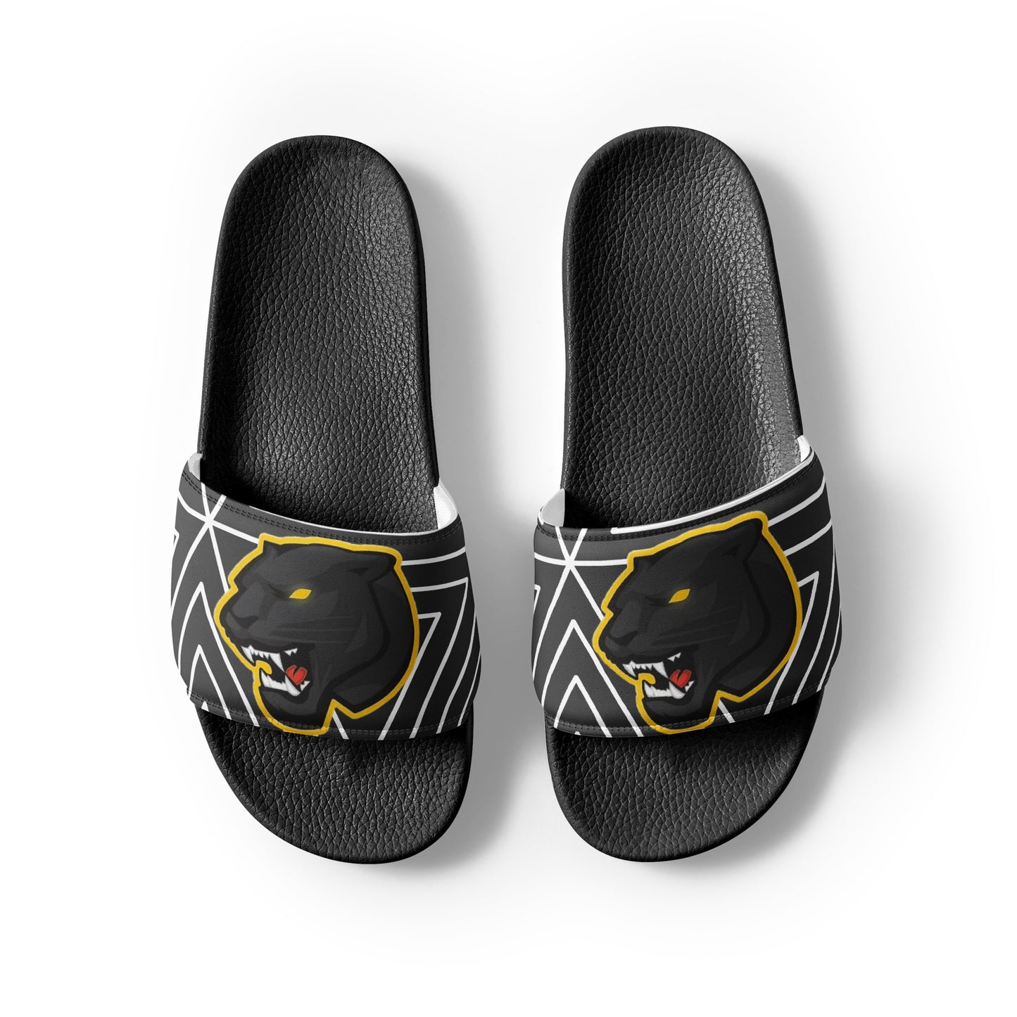 Snider H.S. Men’s slides