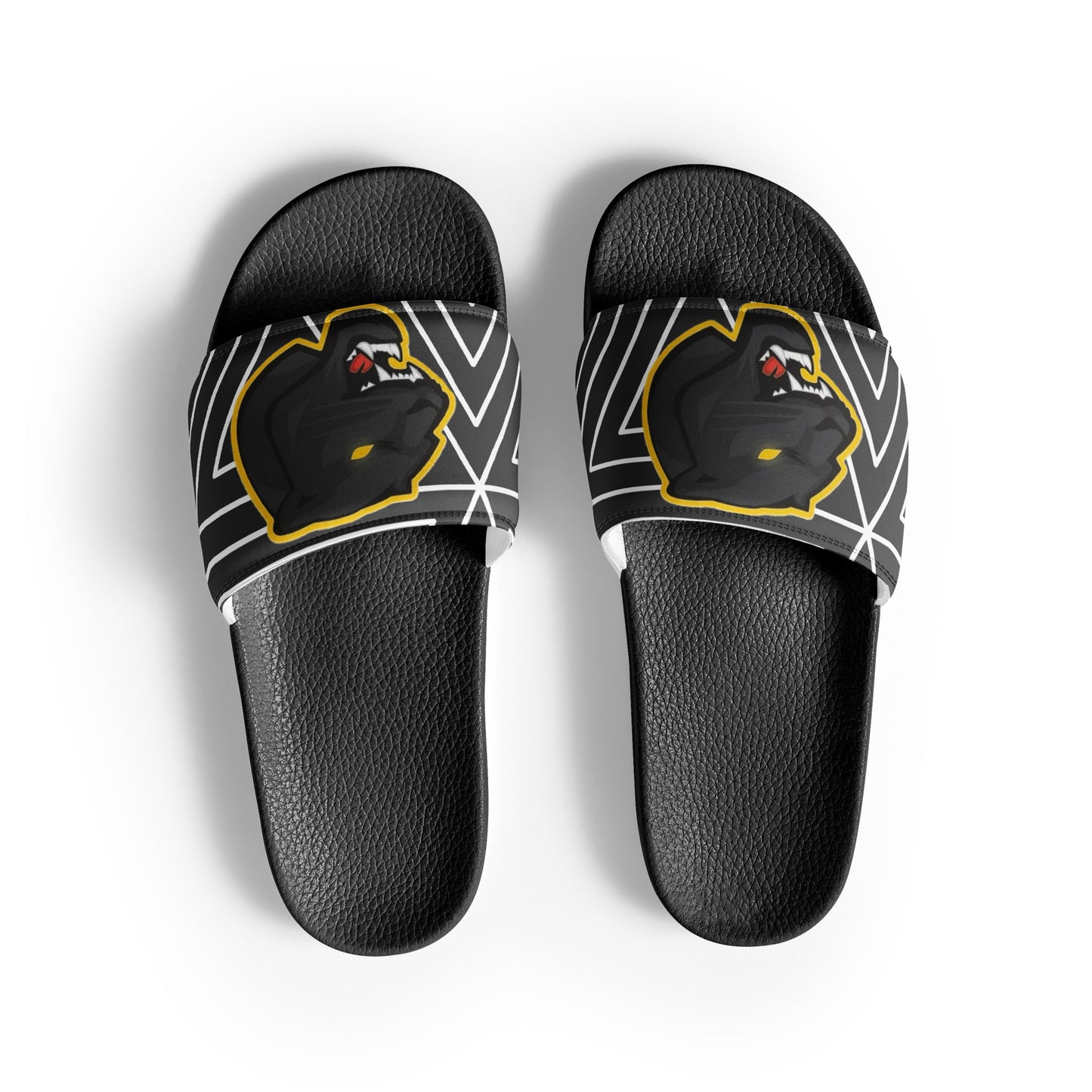 Snider H.S. Men’s slides