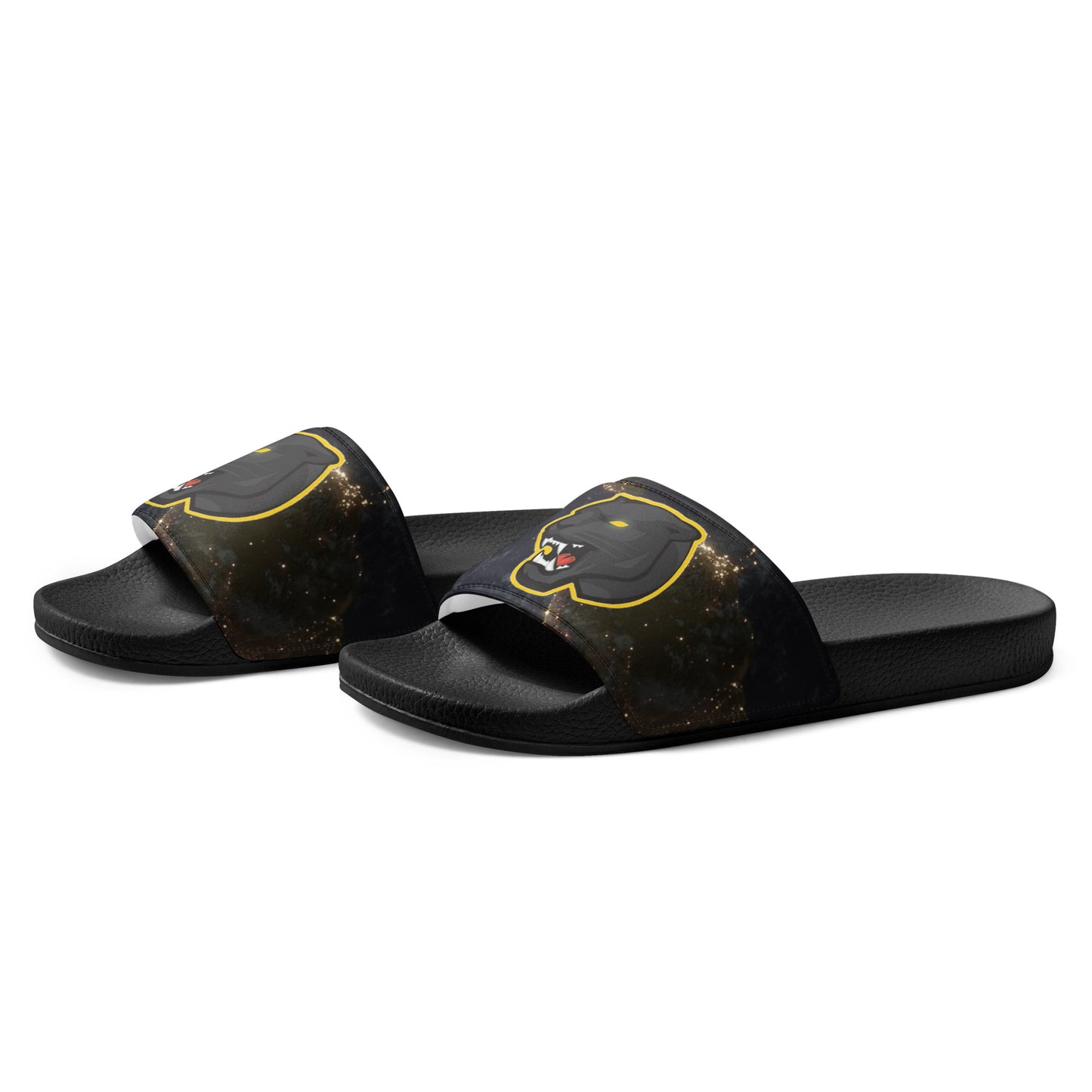 Snider H.S. Men’s slides
