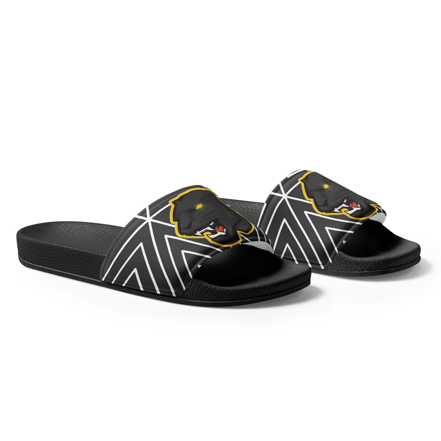 Snider H.S. Men’s slides