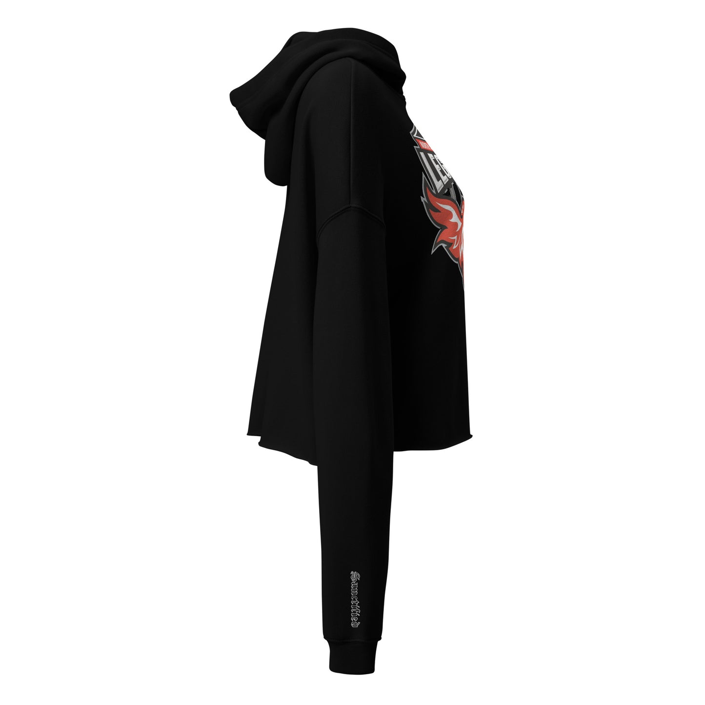North Side H.S. Crop Hoodie