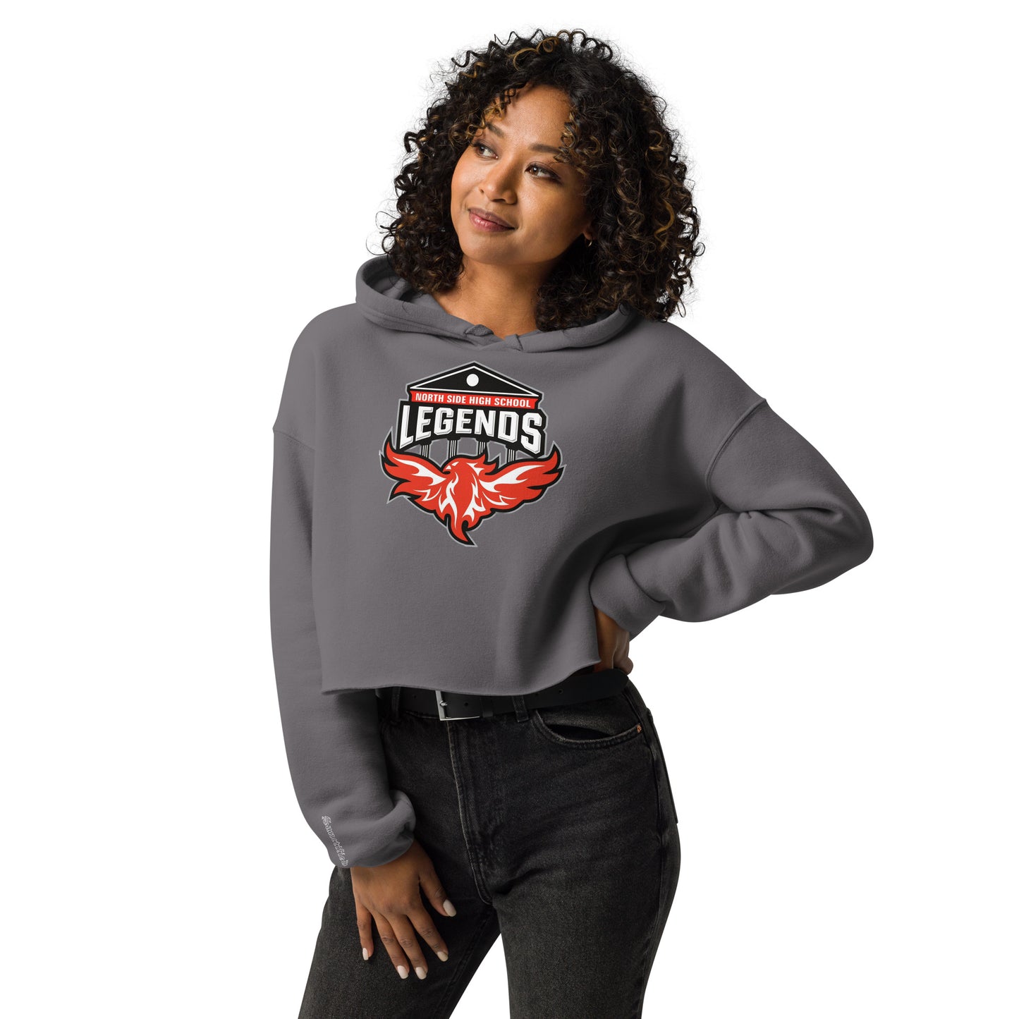 North Side H.S. Crop Hoodie