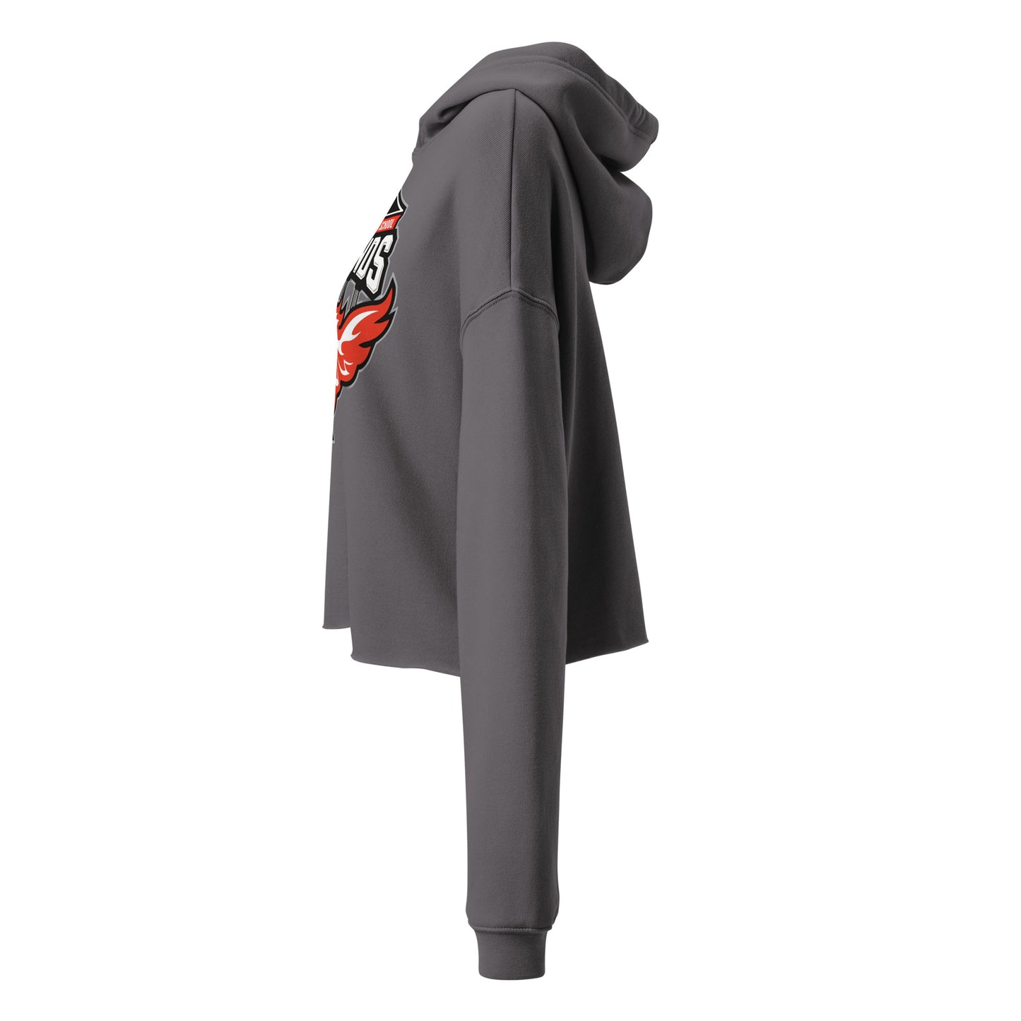 North Side H.S. Crop Hoodie