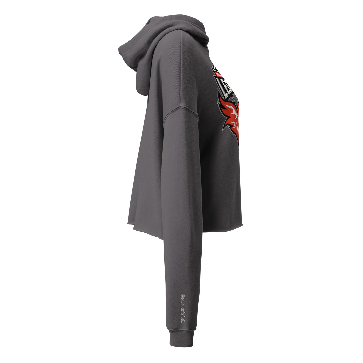 North Side H.S. Crop Hoodie