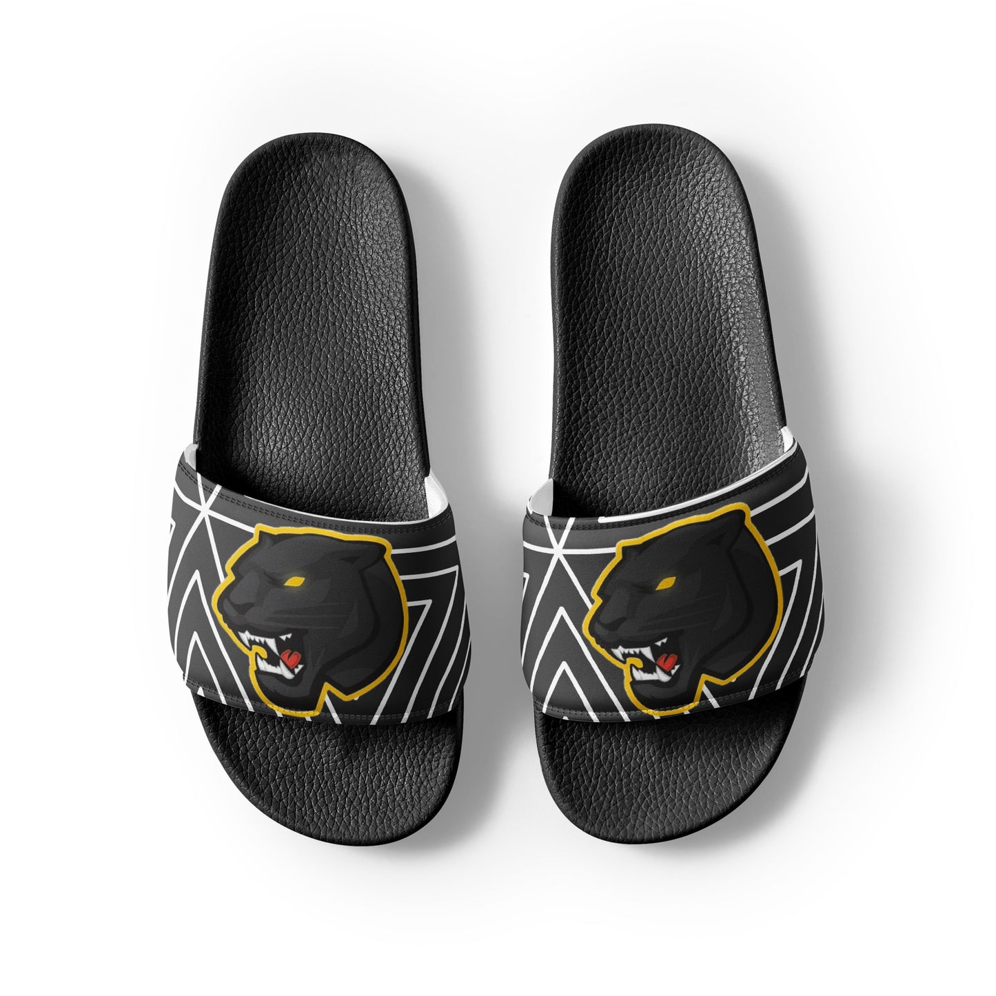Snider H.S. Women's slides