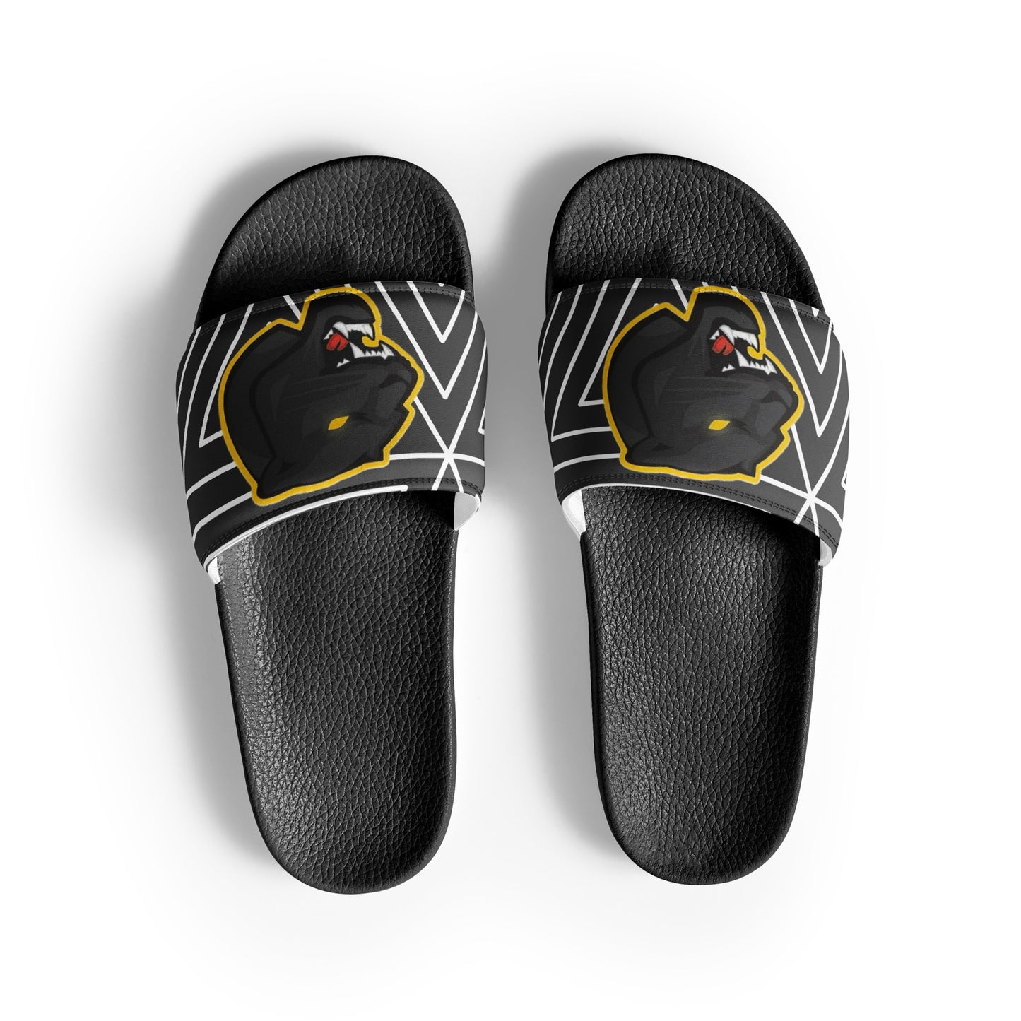 Snider H.S. Women's slides