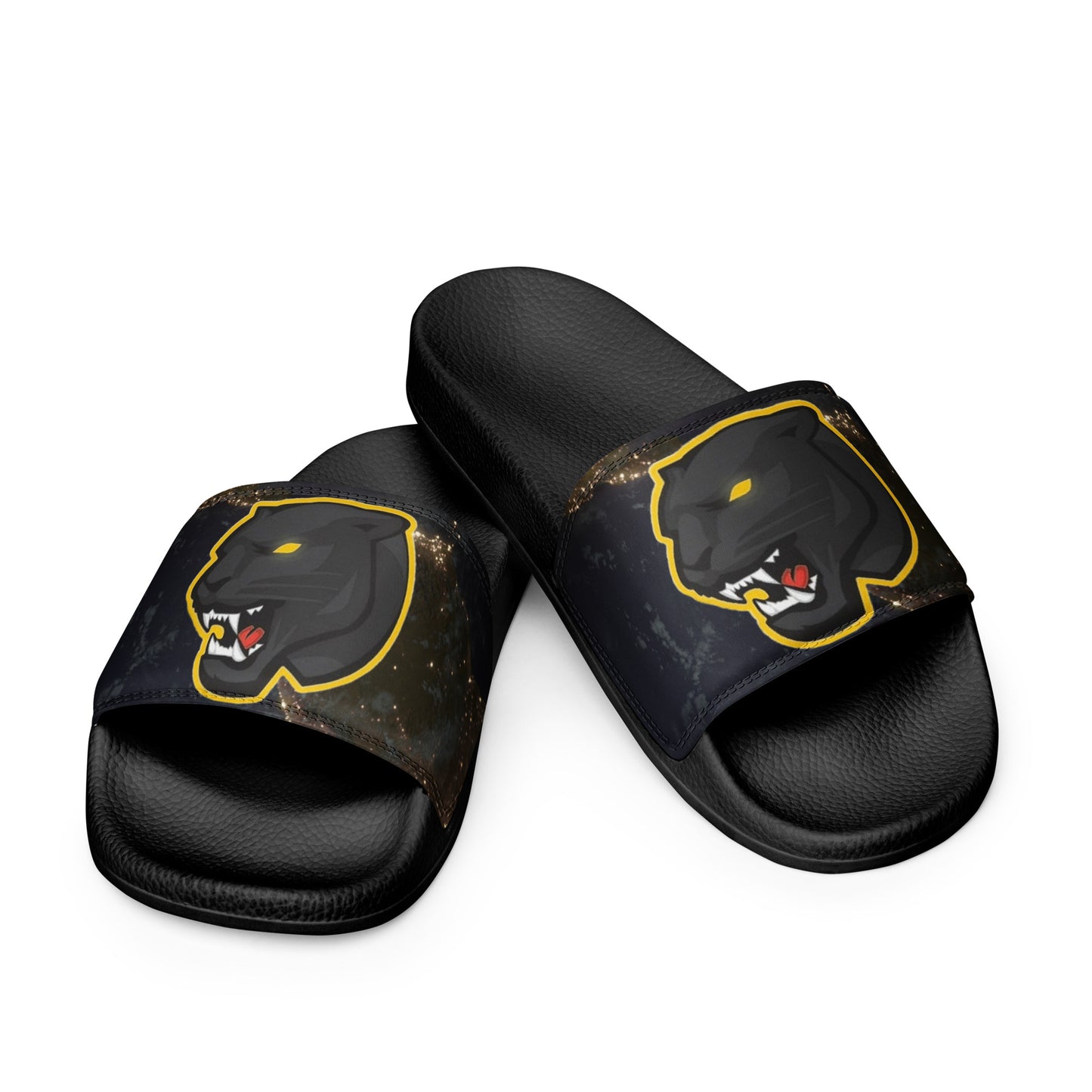 Snider H.S. Women's slides