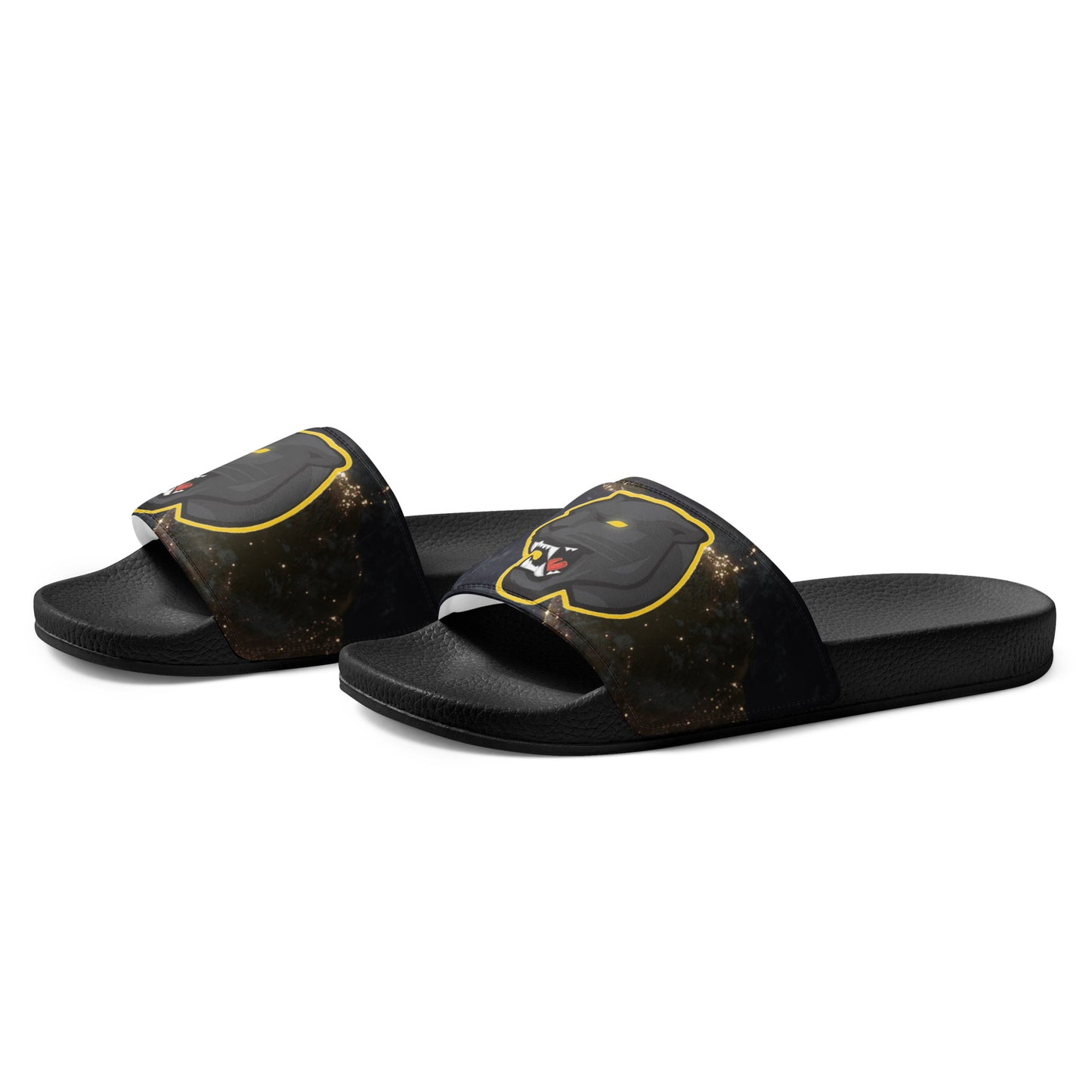 Snider H.S. Women's slides