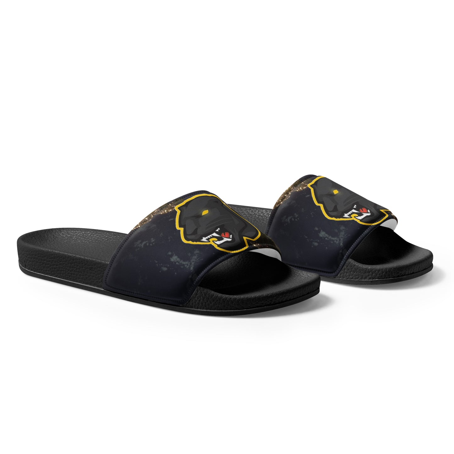 Snider H.S. Women's slides