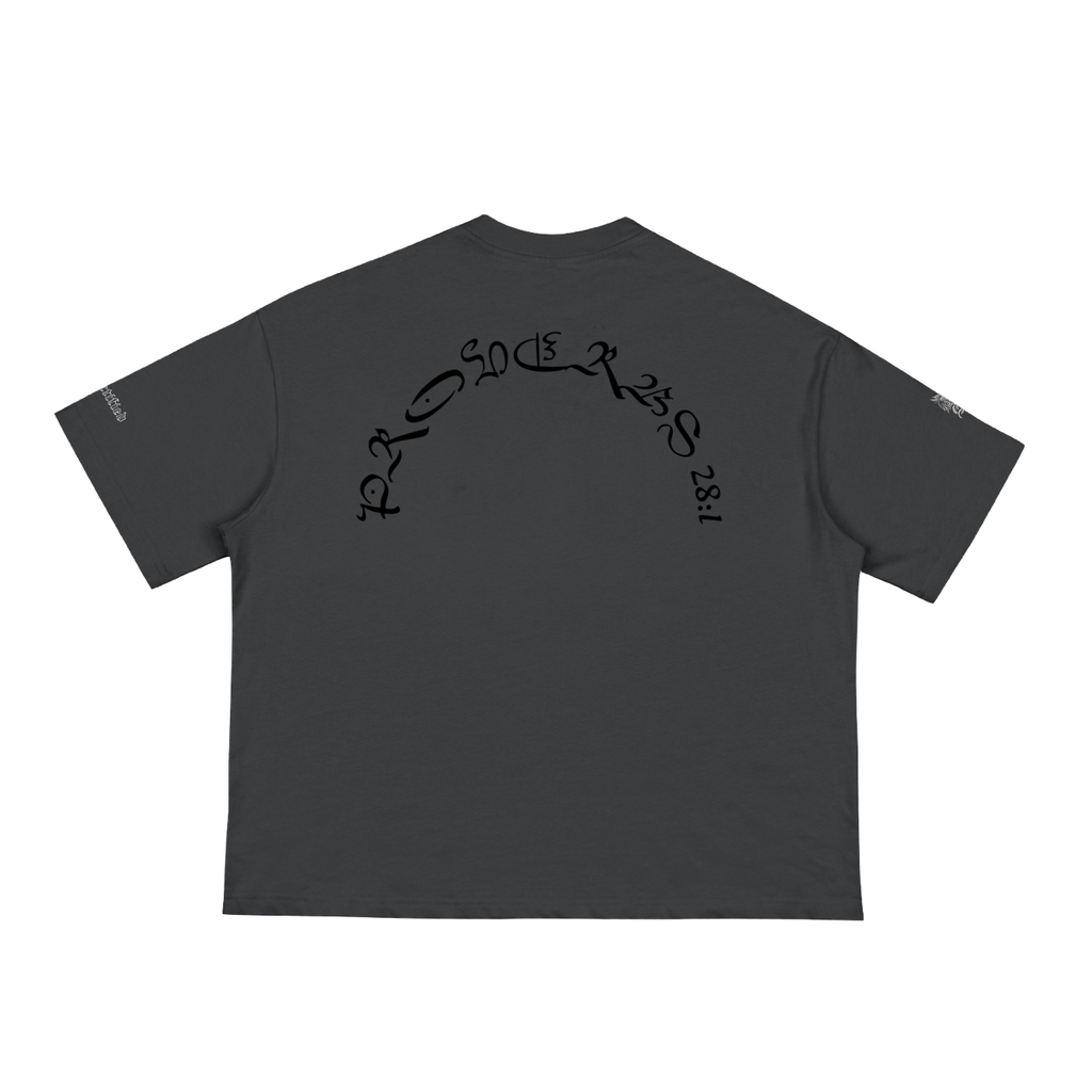 BOLD AS A LION- Classic Loose Boxy Tee
