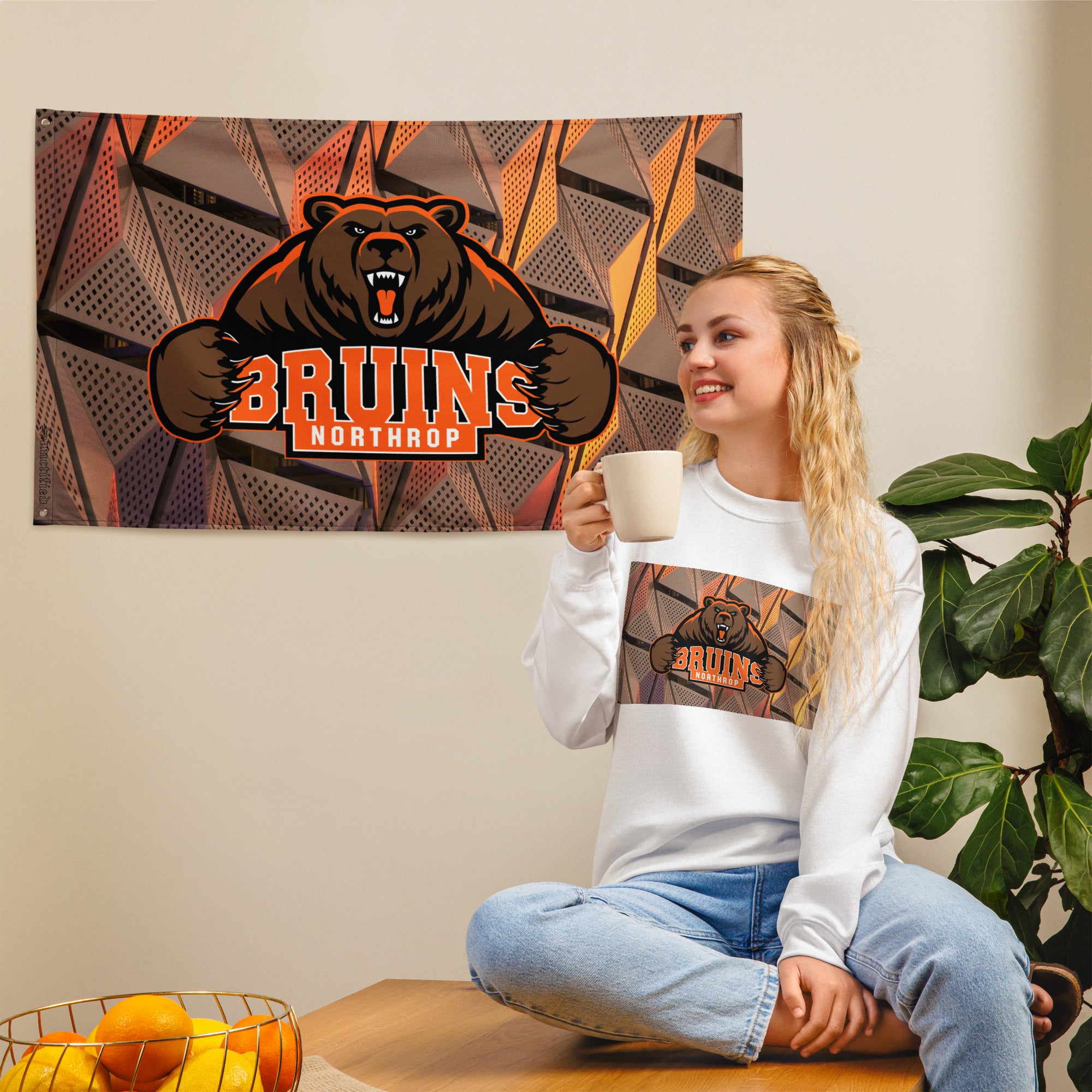 Northrop H.S. Flag