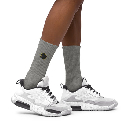 Snider H.S. Embroidered socks
