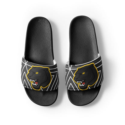 Snider H.S. Men’s slides