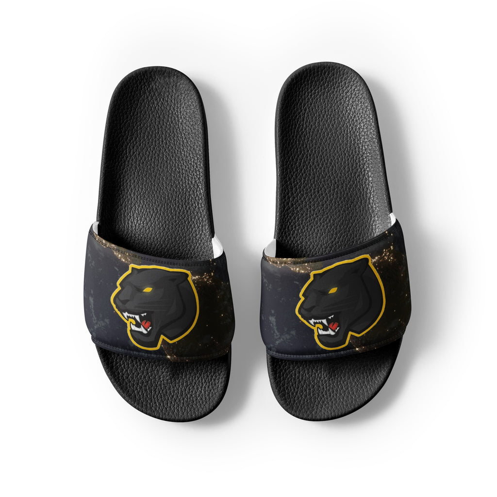 Snider H.S. Men’s slides