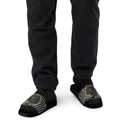 Snider H.S. Men’s slides