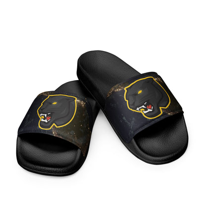 Snider H.S. Men’s slides
