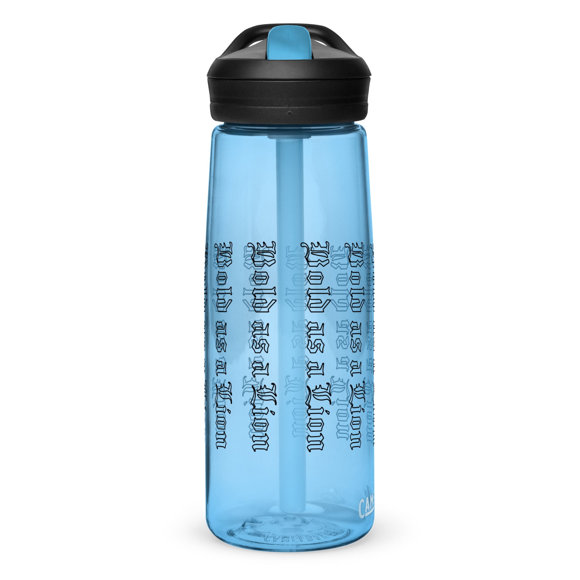 Sports water bottle