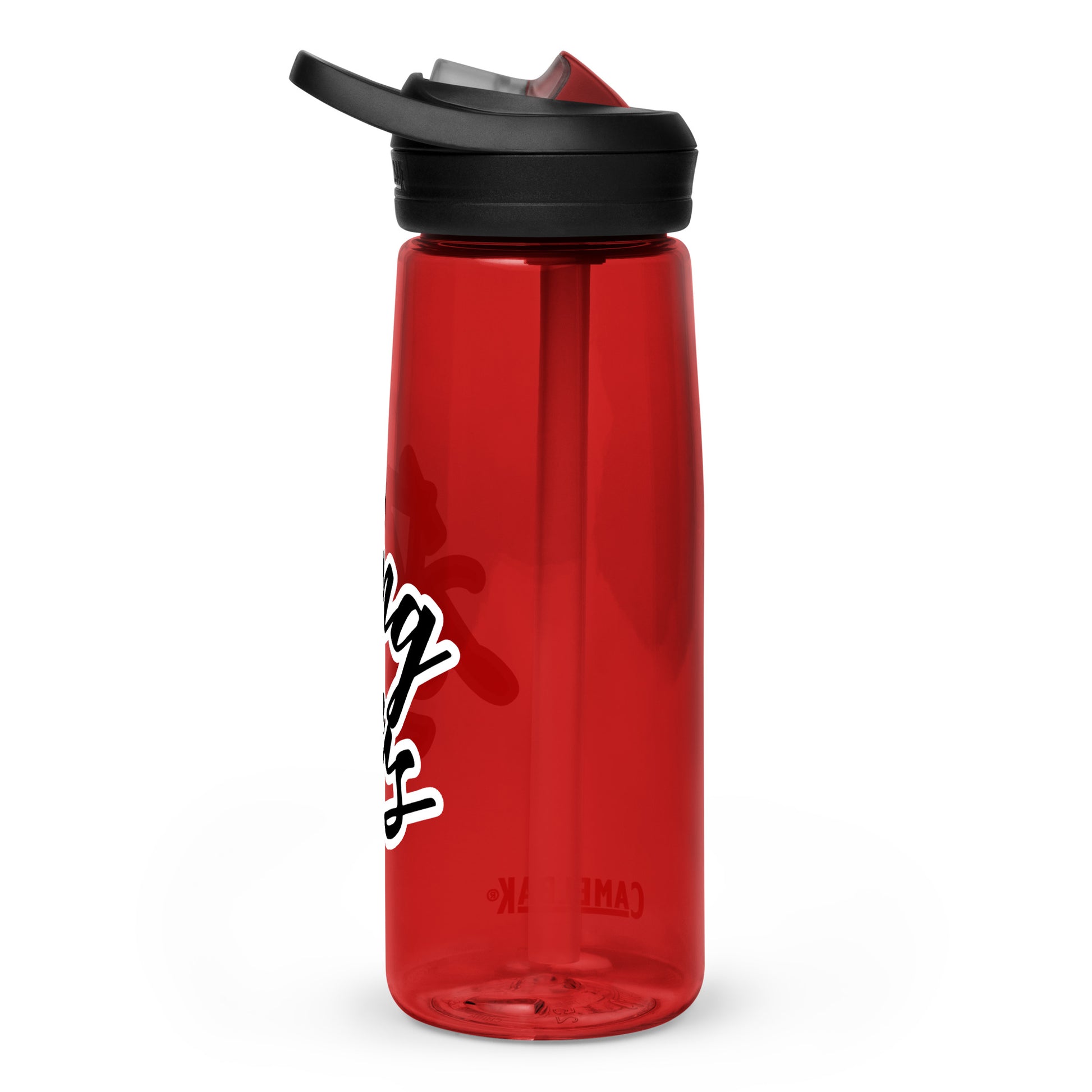 Sports water bottle