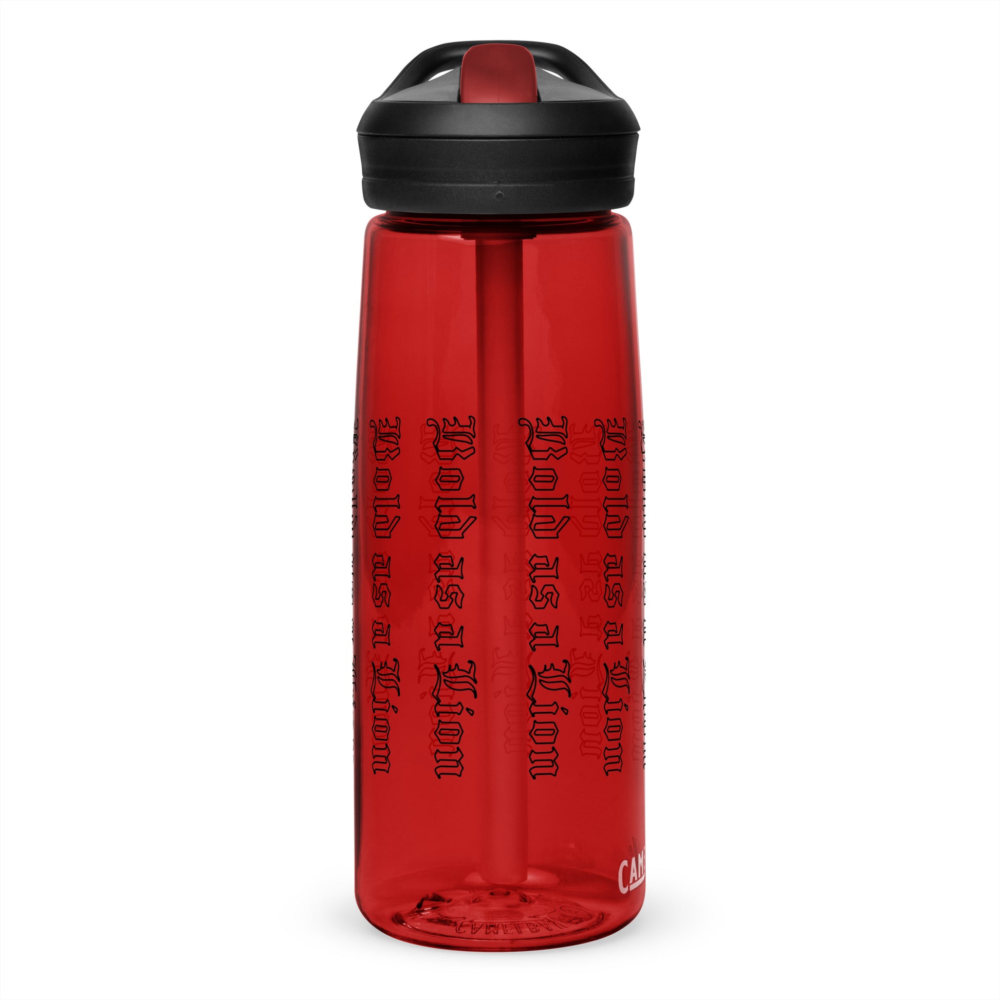 Sports water bottle