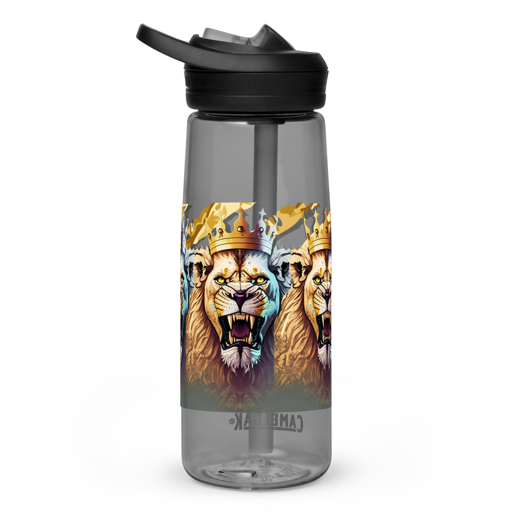 Sports water bottle