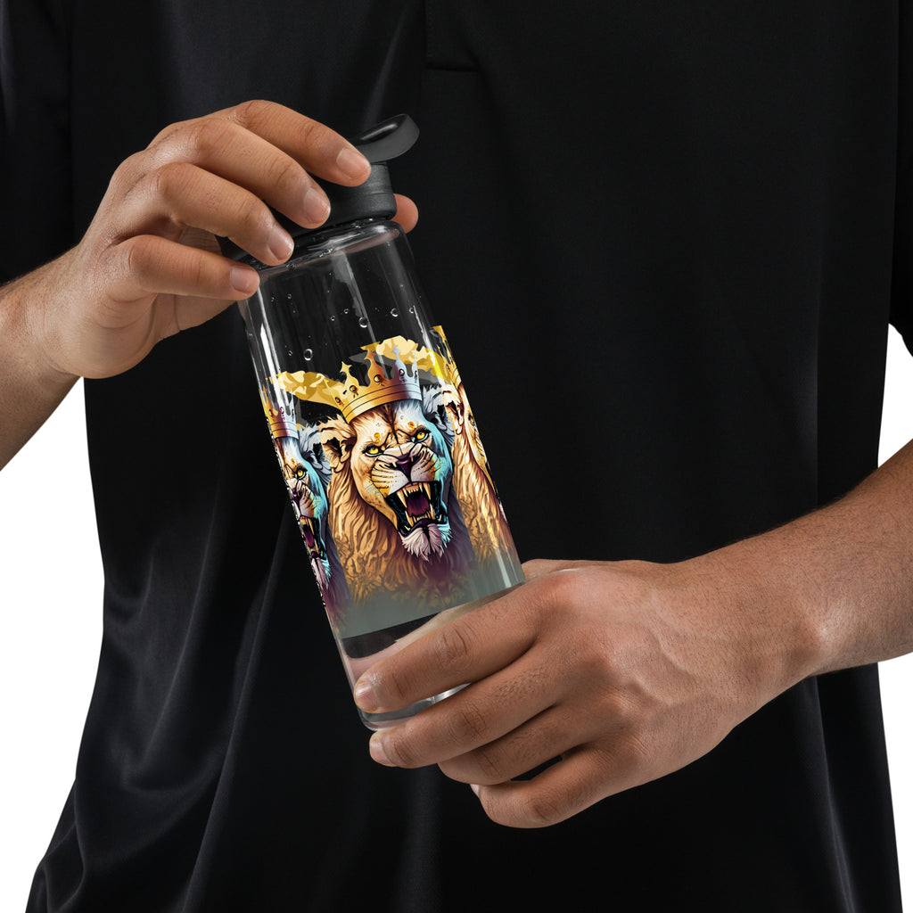 Sports water bottle