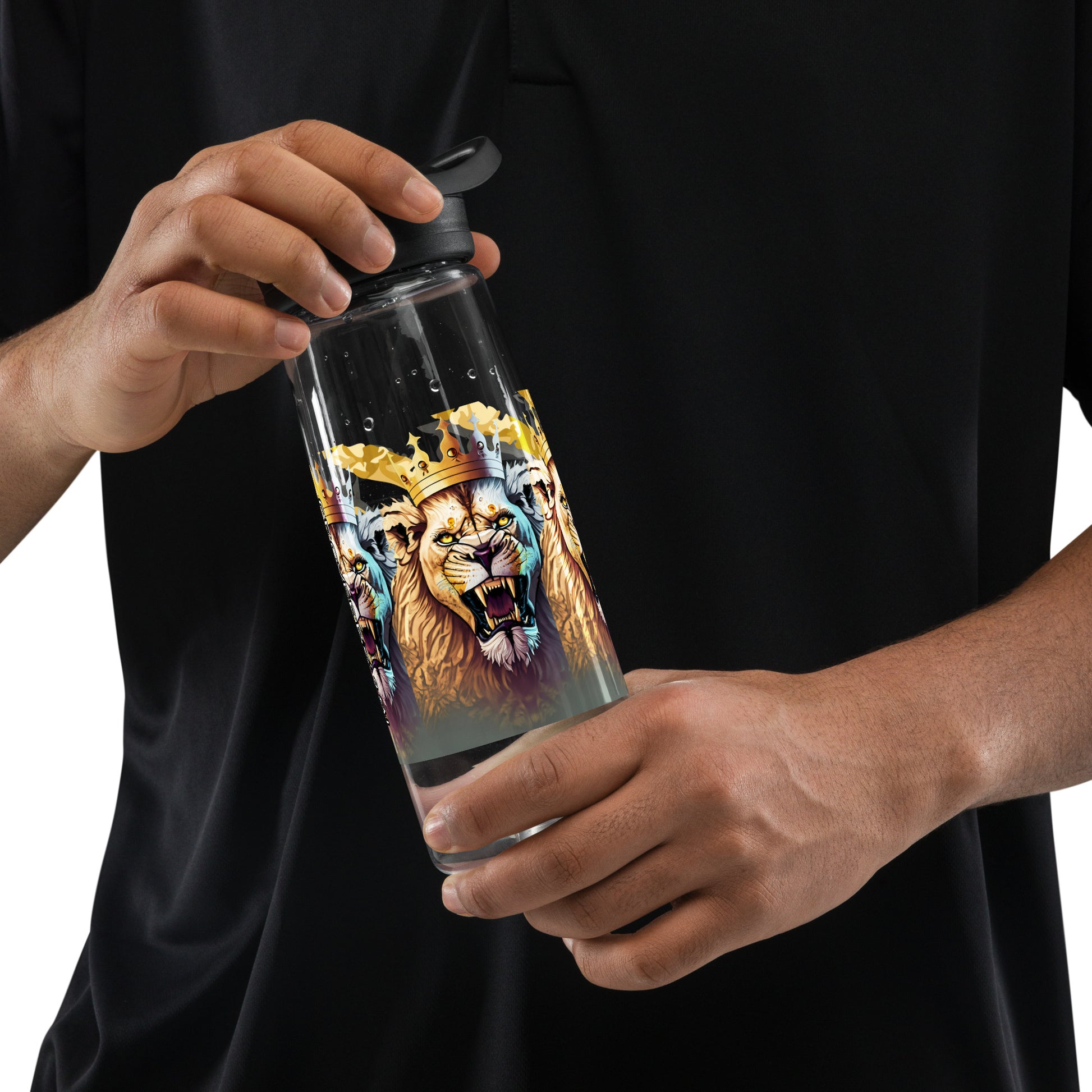 Sports water bottle