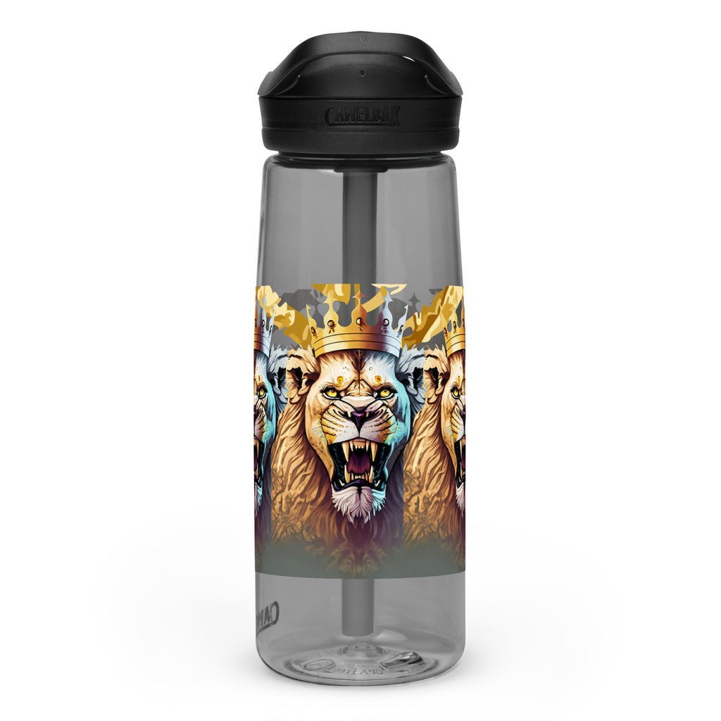 Sports water bottle