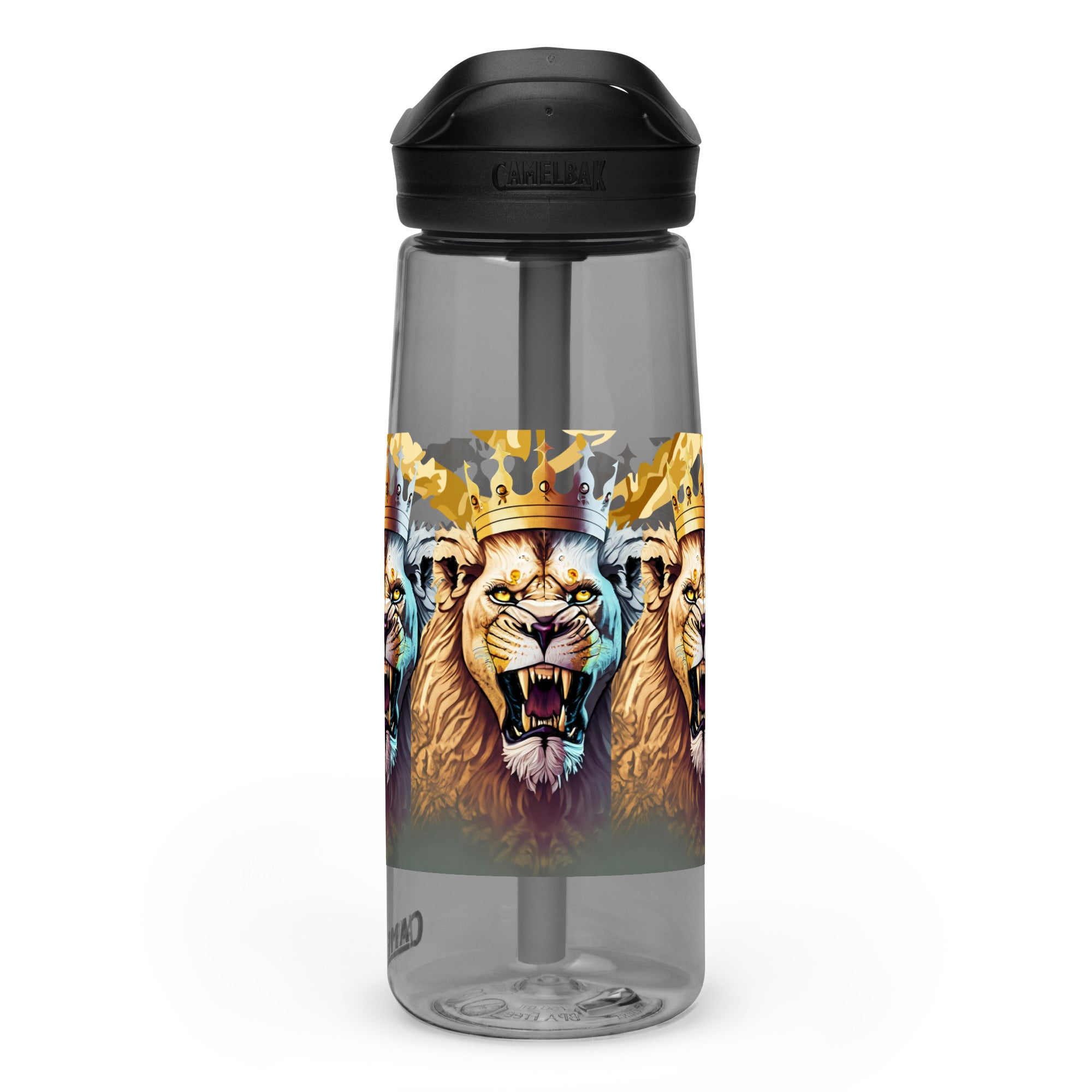 Sports water bottle