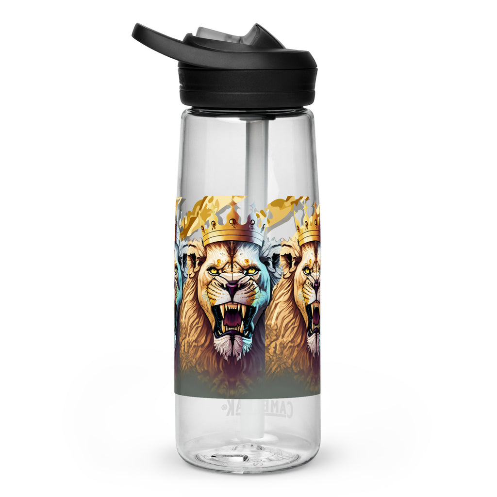 Sports water bottle