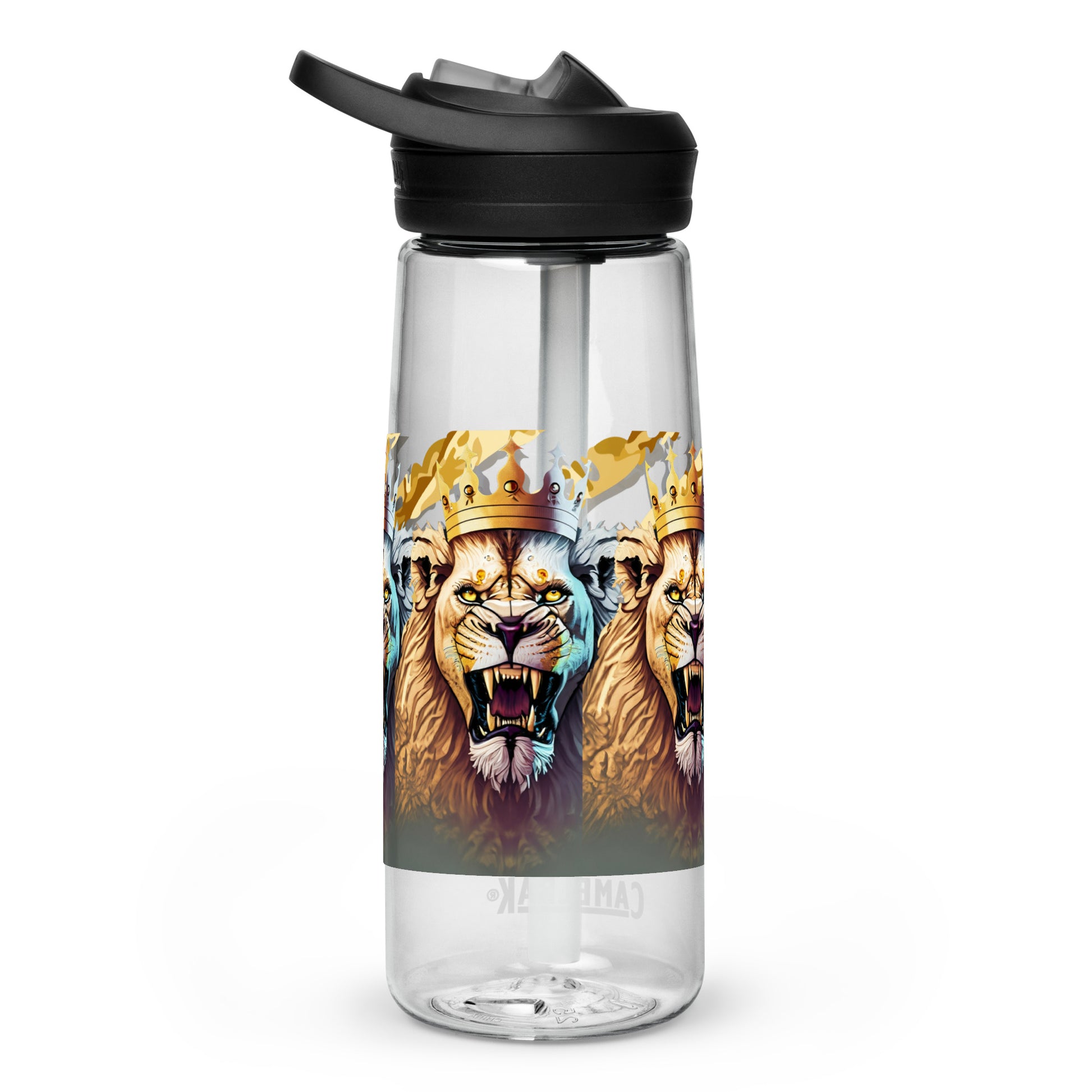 Sports water bottle