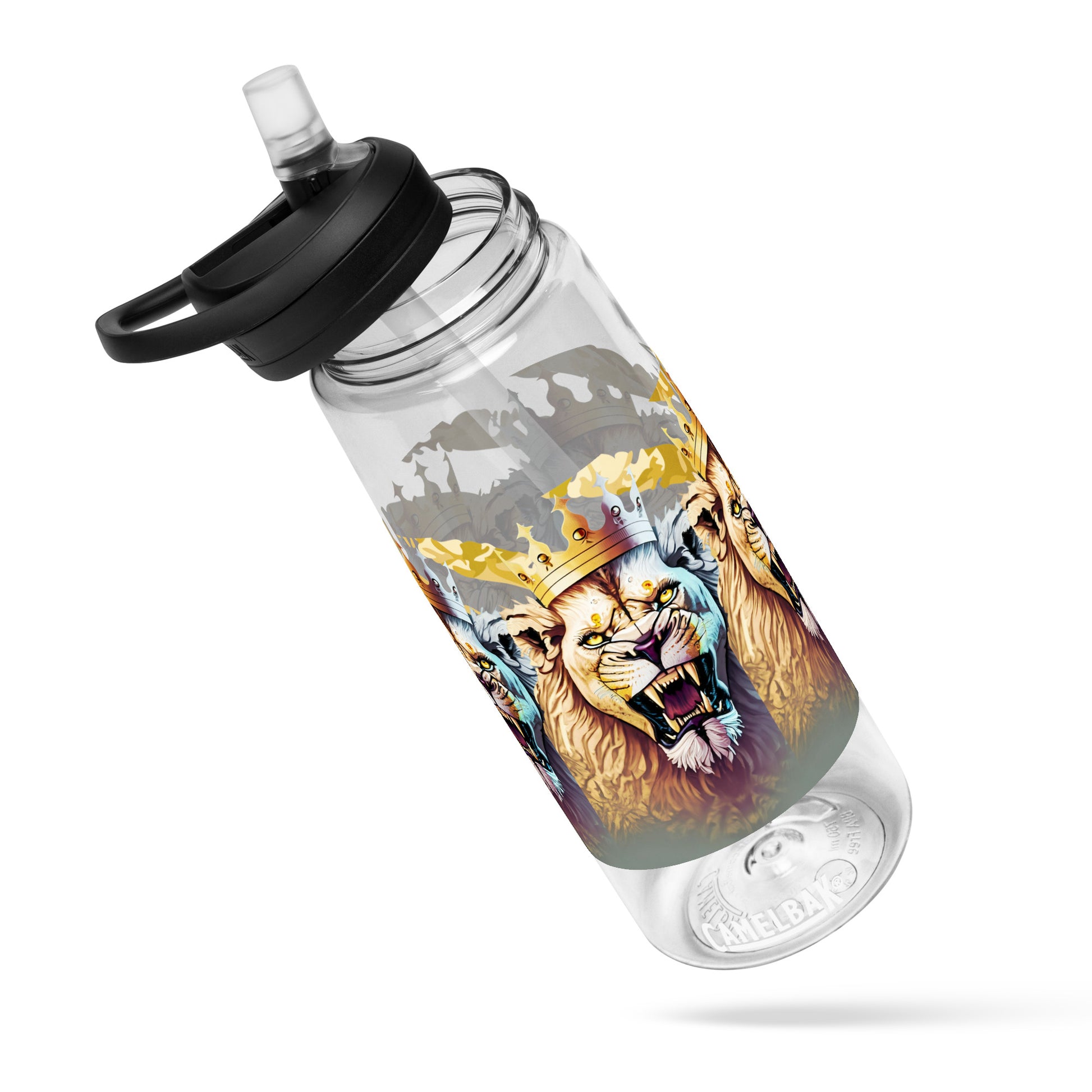 Sports water bottle