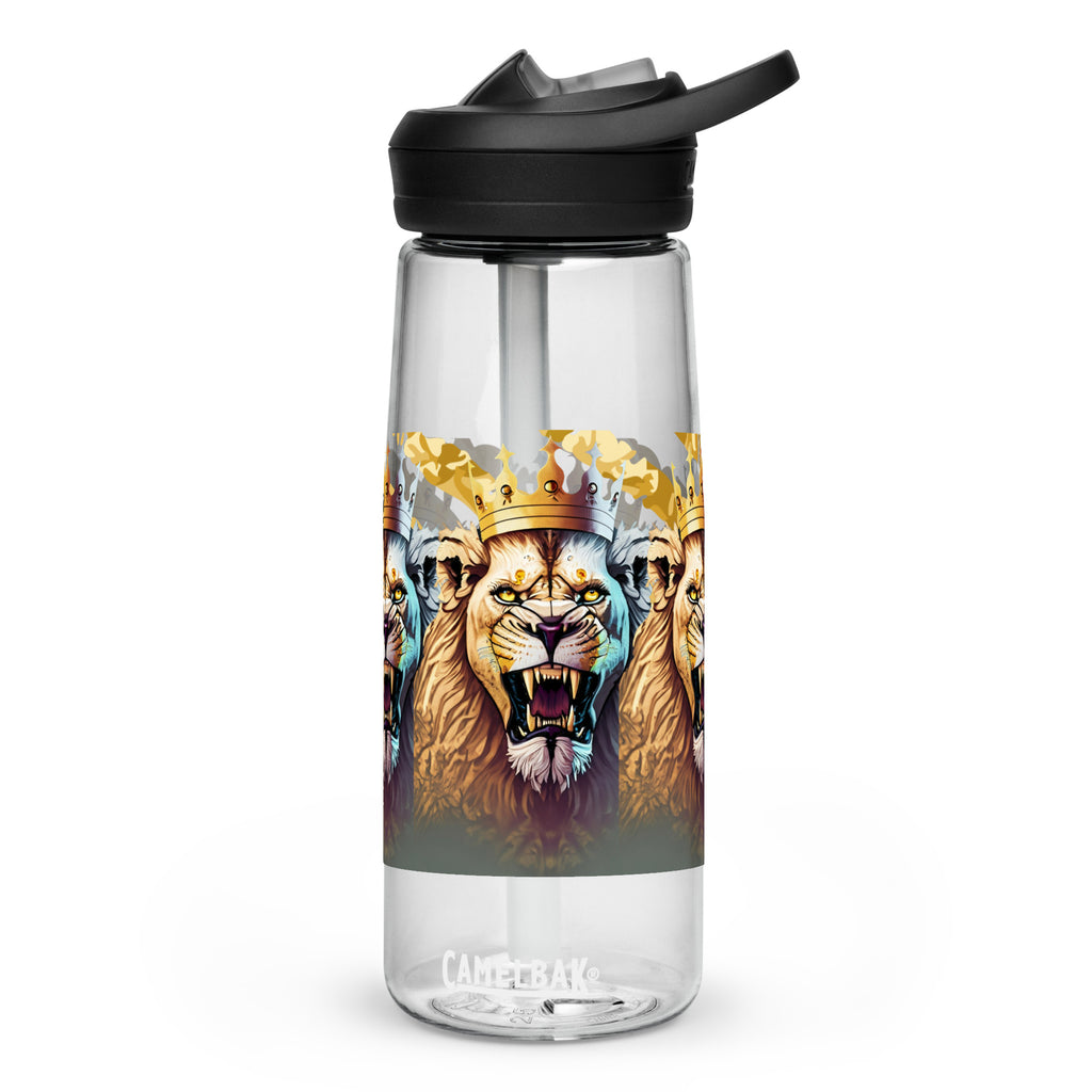Sports water bottle