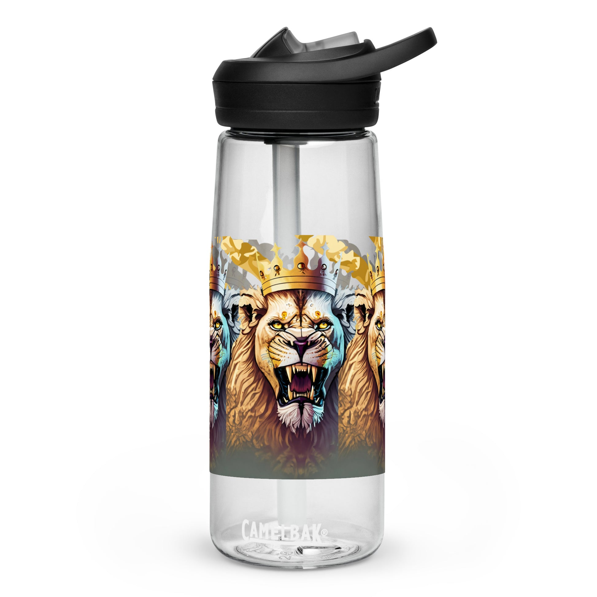 Sports water bottle