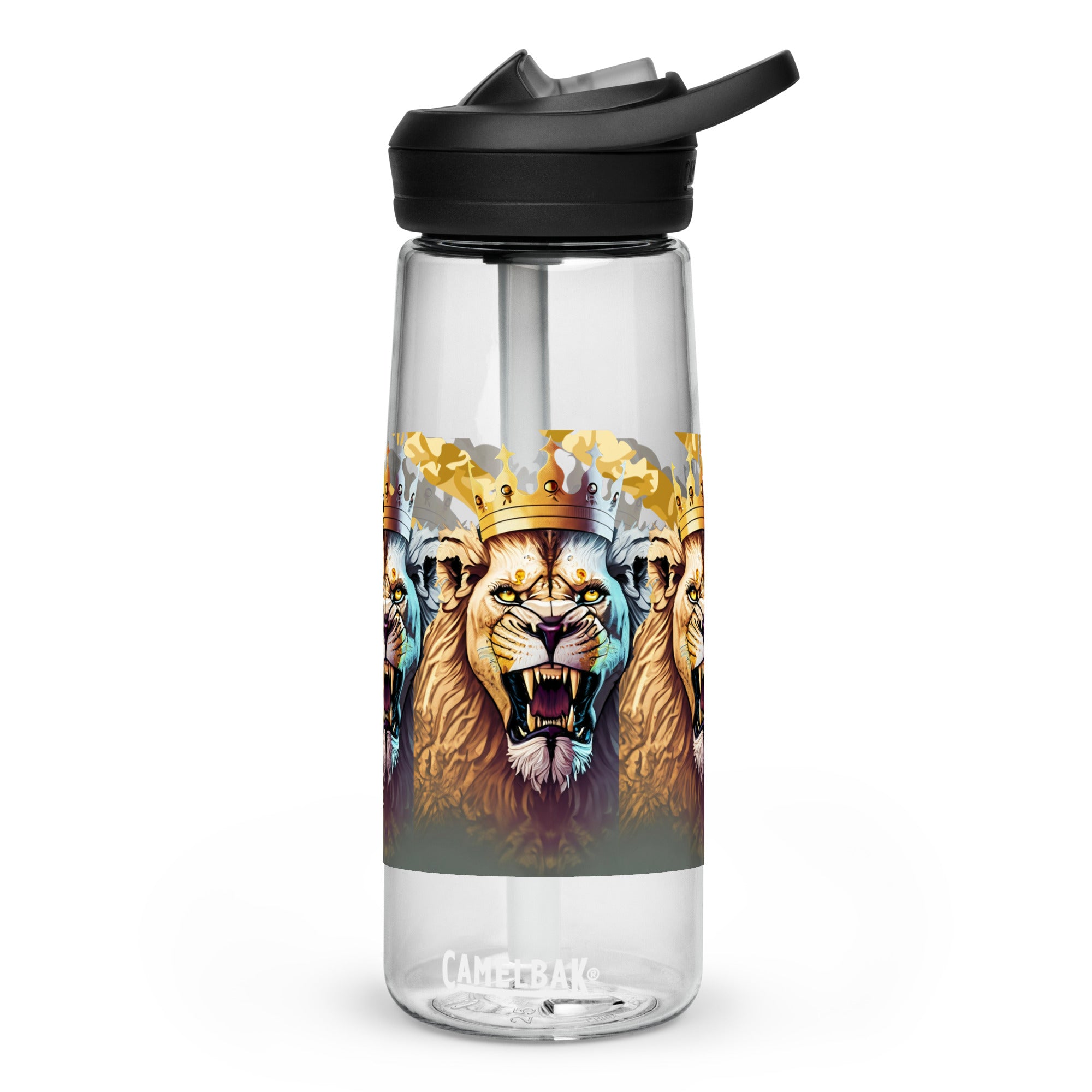 Sports water bottle