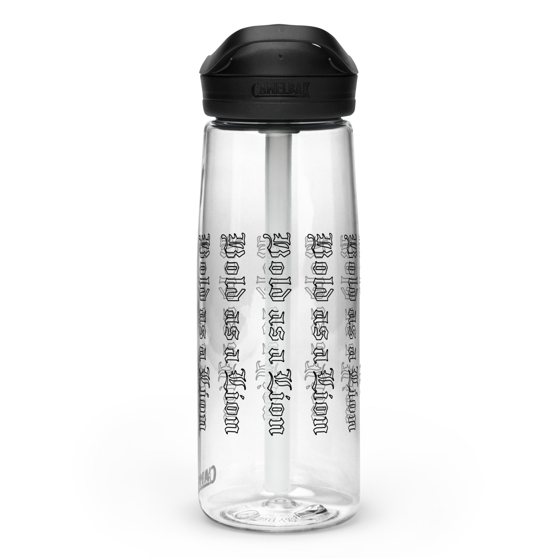 Sports water bottle