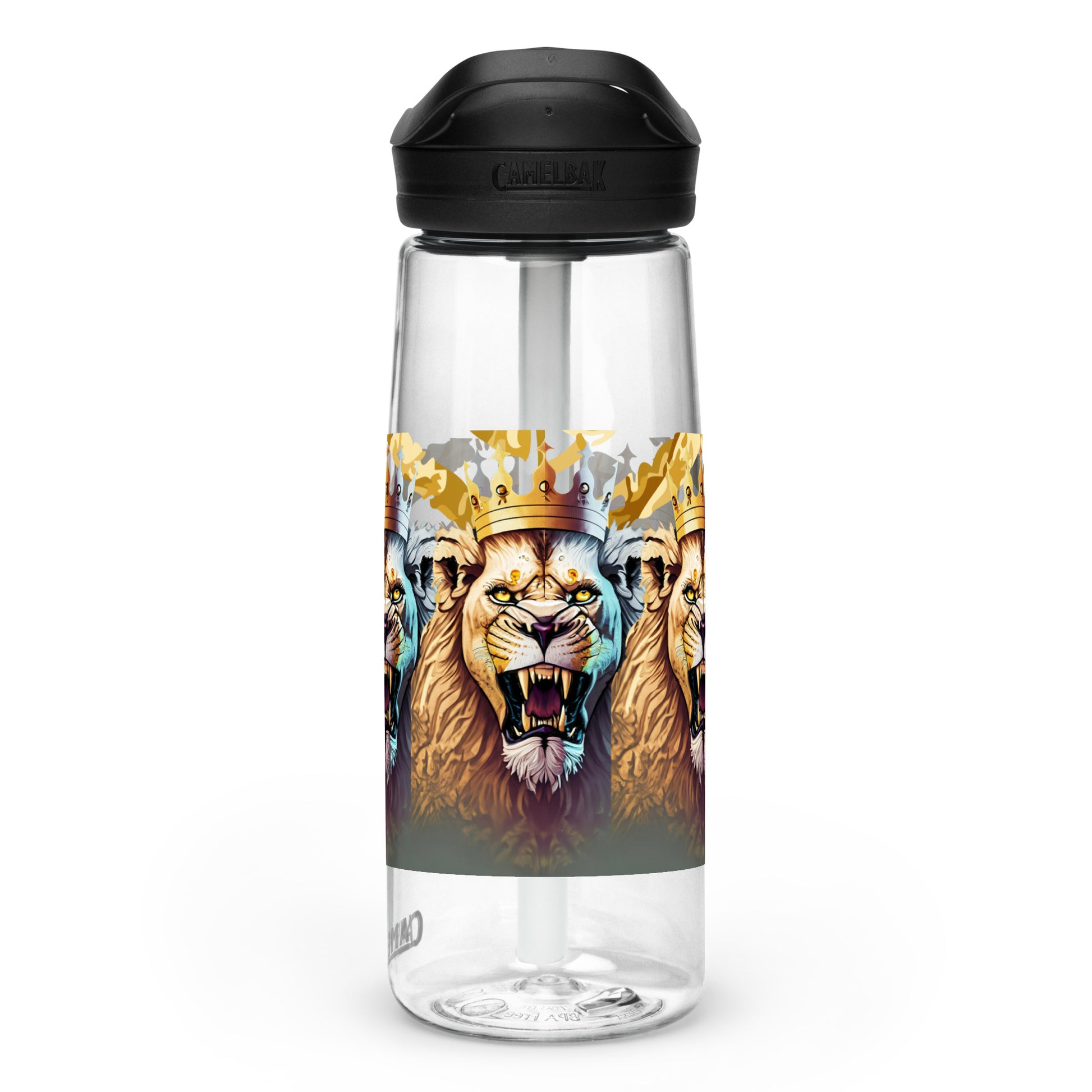 Sports water bottle