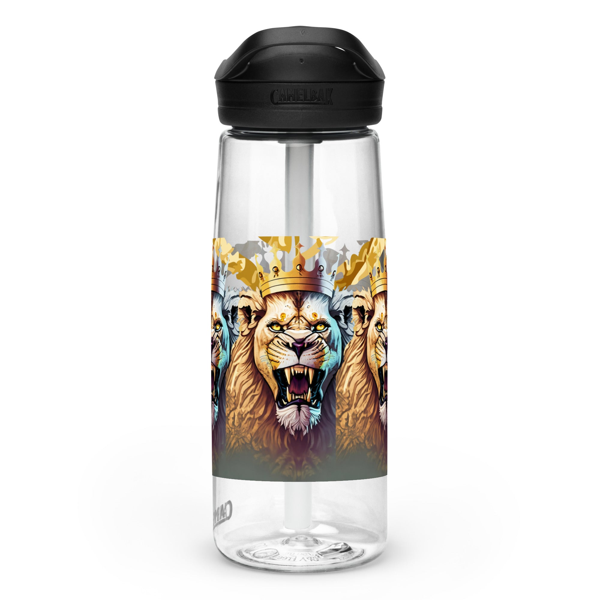 Sports water bottle