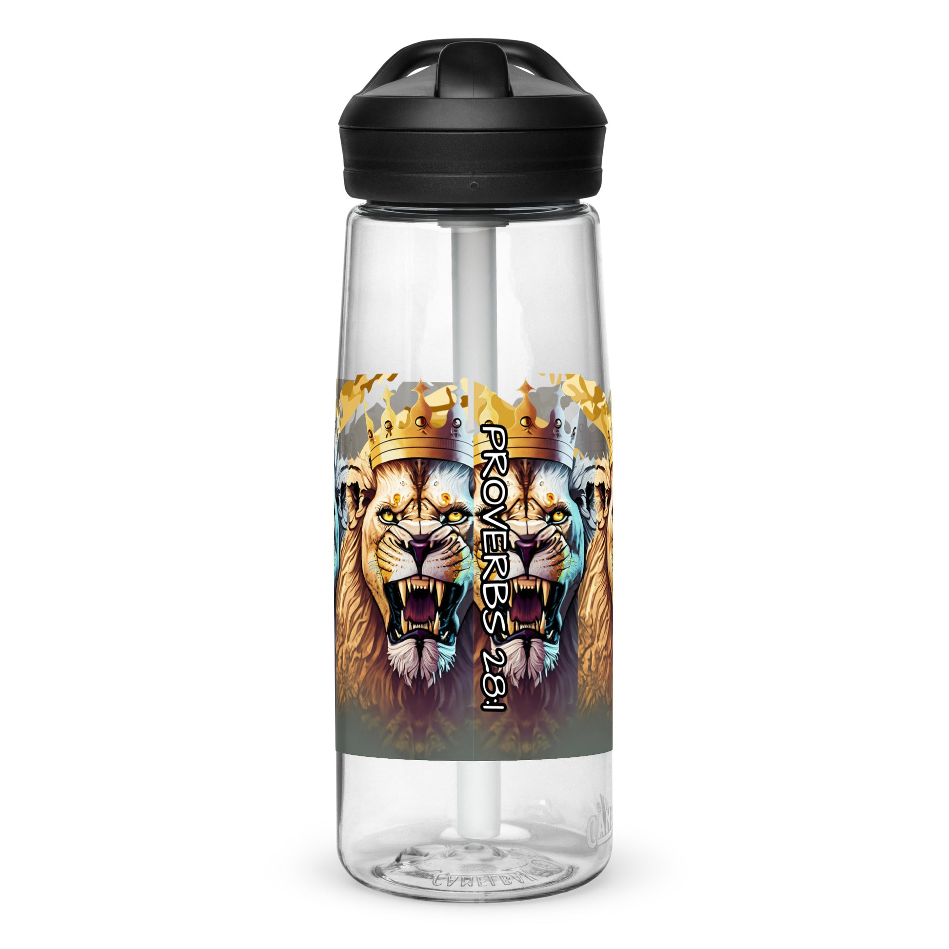 Sports water bottle