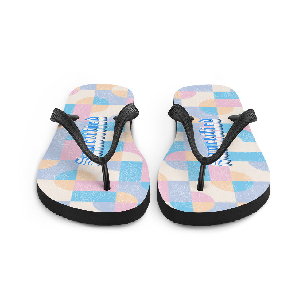 Flip-Flops