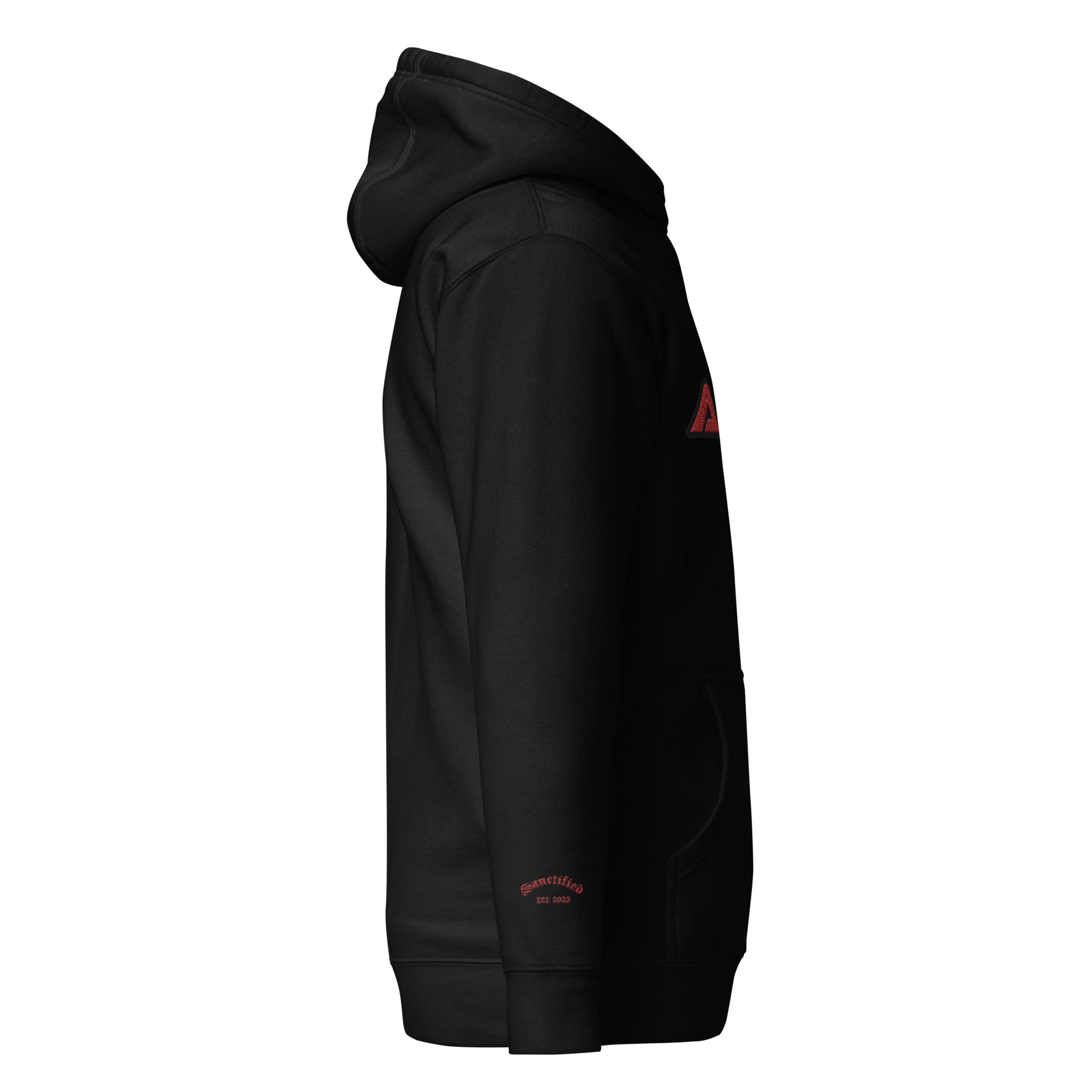 ABBA- EMBROIDERED FRONT Unisex Hoodie