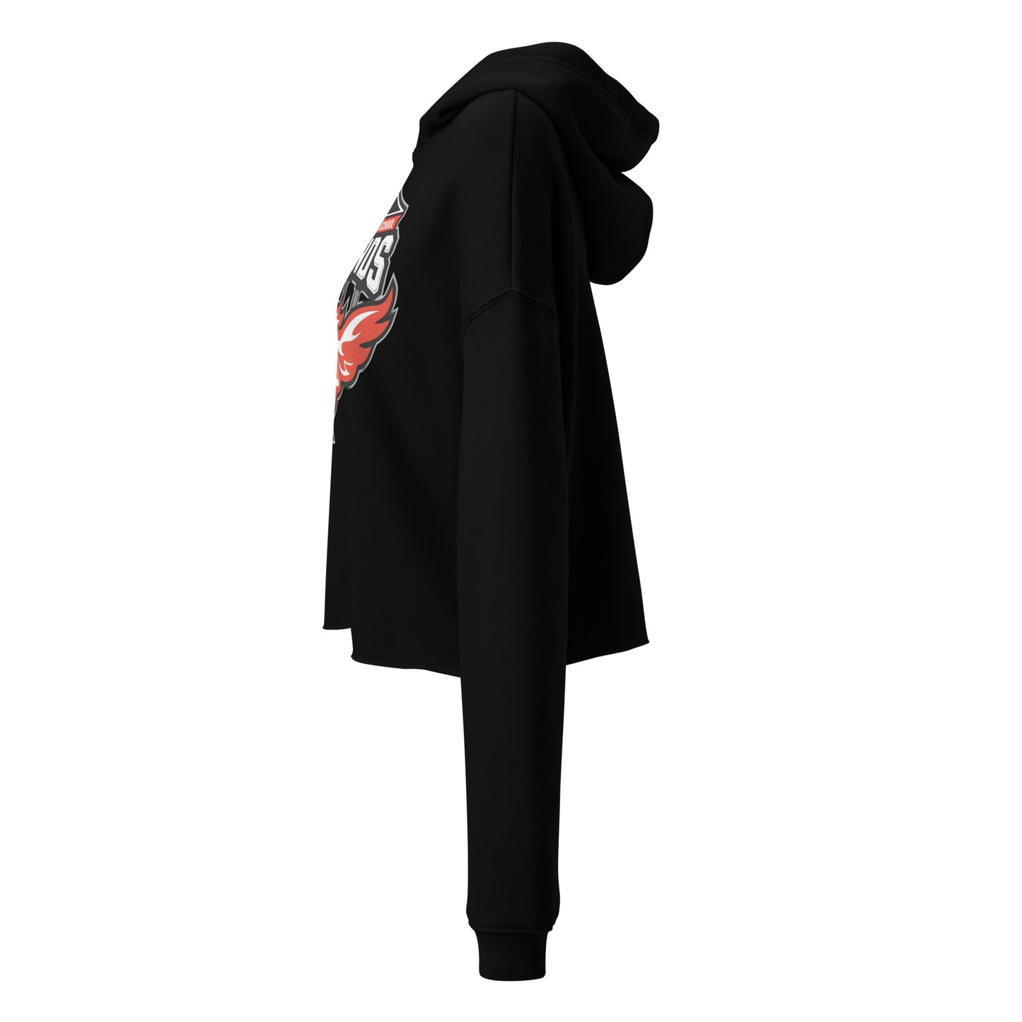 North Side H.S. Crop Hoodie