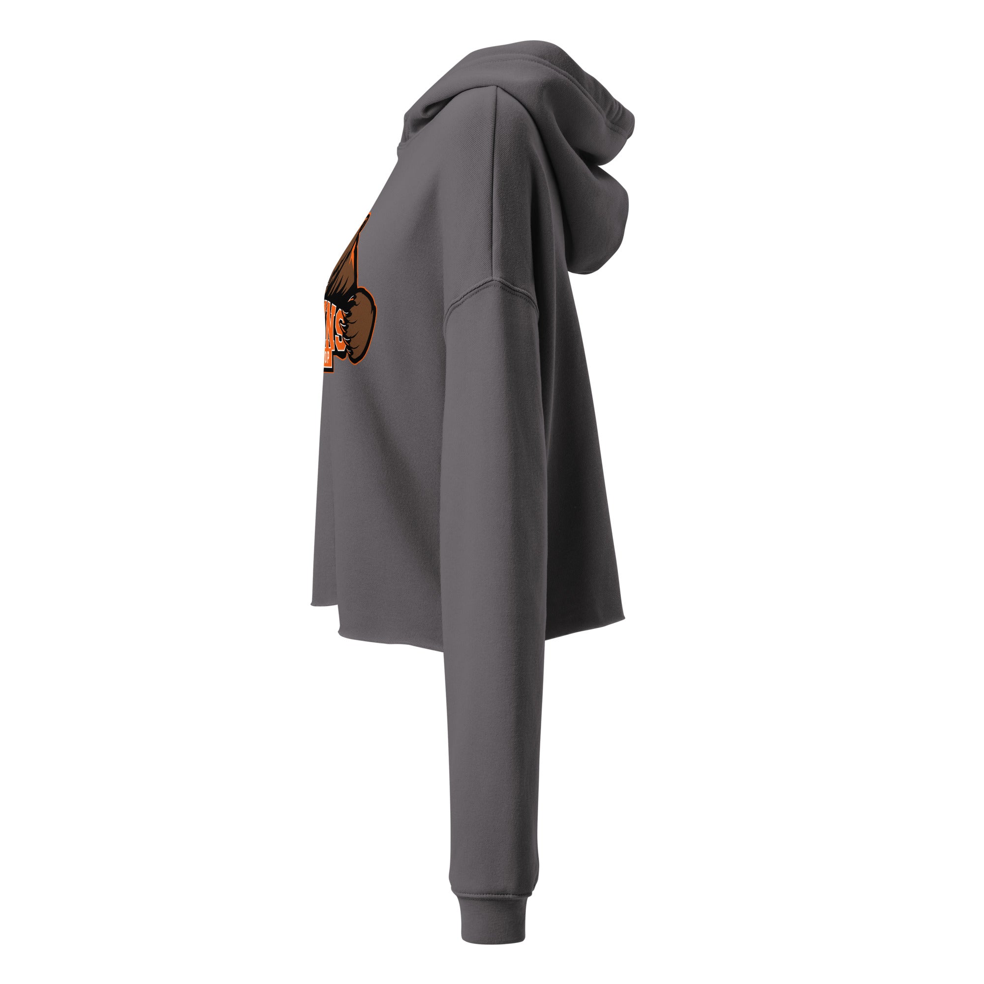 Northrop H.S. Crop Hoodie