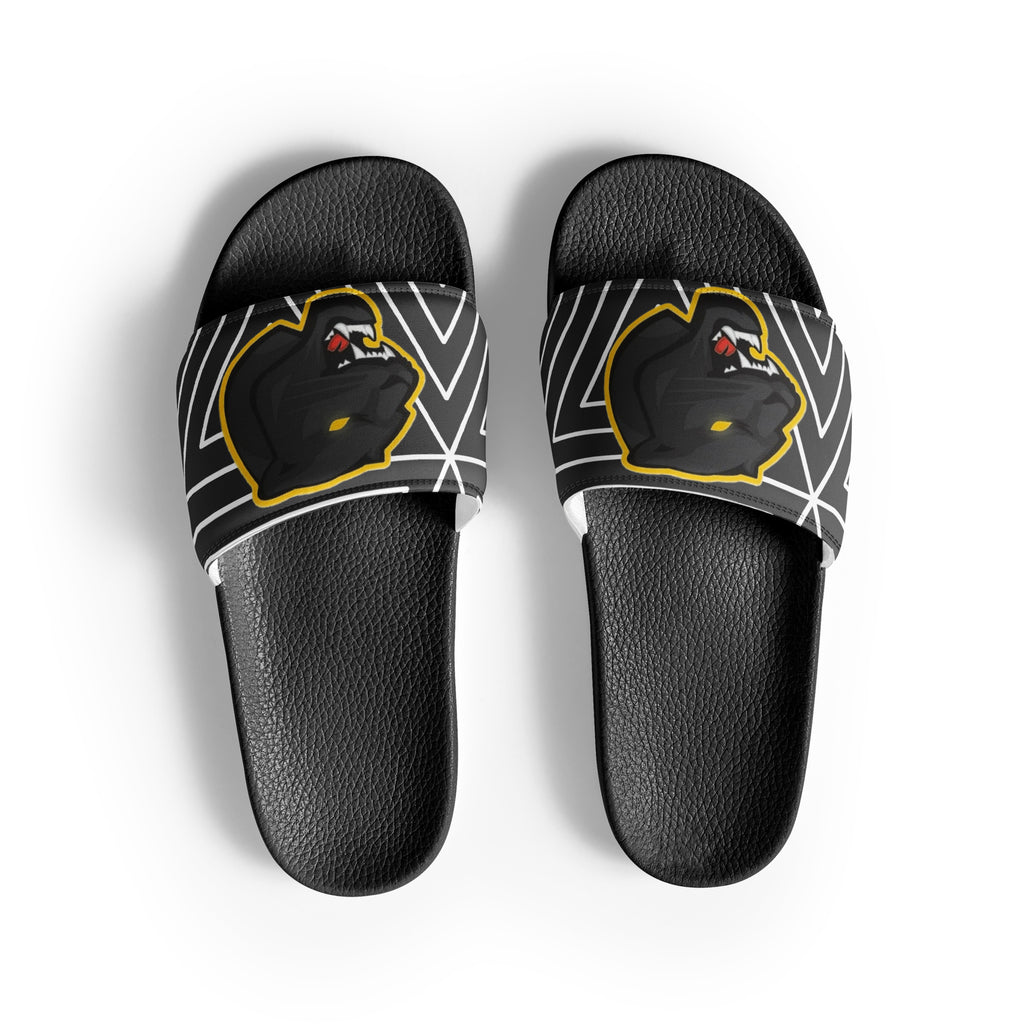 Snider H.S. Women's slides