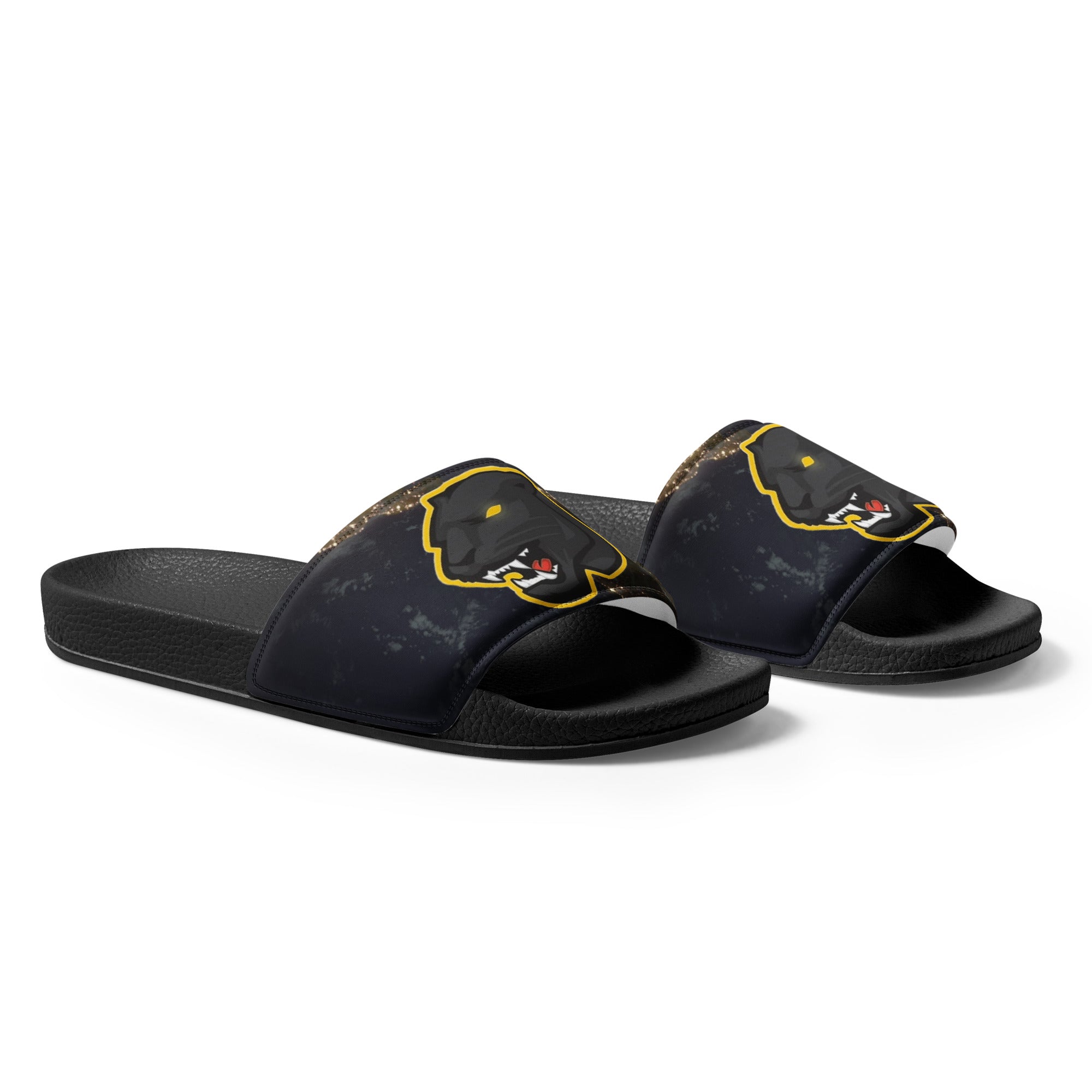 Snider H.S. Women's slides